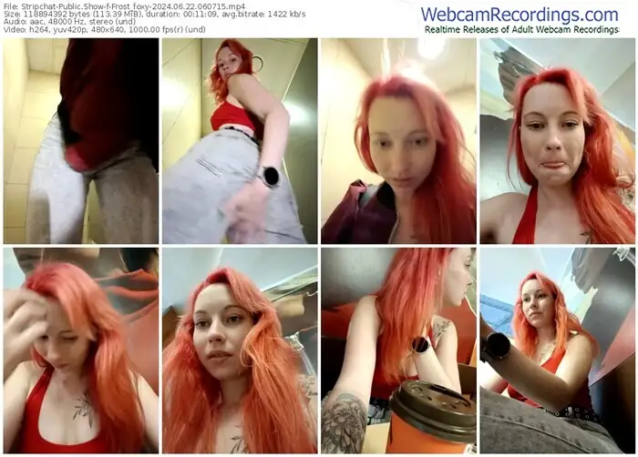 stripchat-frost_foxy-06-22-2024-06-07-15