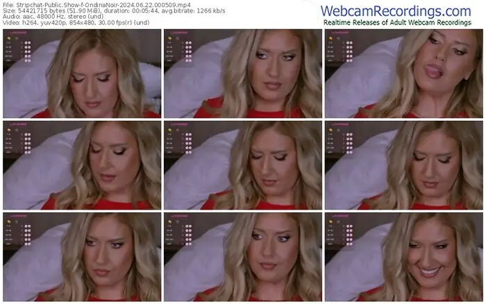 stripchat-ondinanoir-06-22-2024-00-05-09