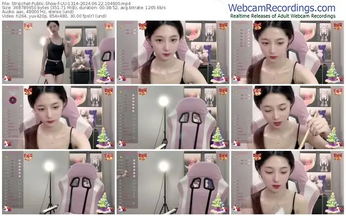 stripchat-uu-1314-06-22-2024-10-46-00