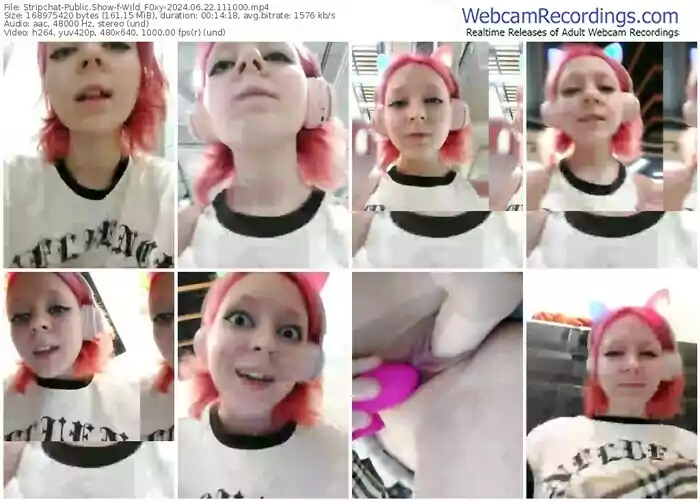 stripchat-wild_f0xy-06-22-2024-11-10-00