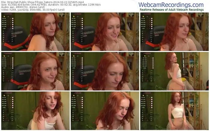 stripchat-frogs_haters-06-22-2024-02-58-25