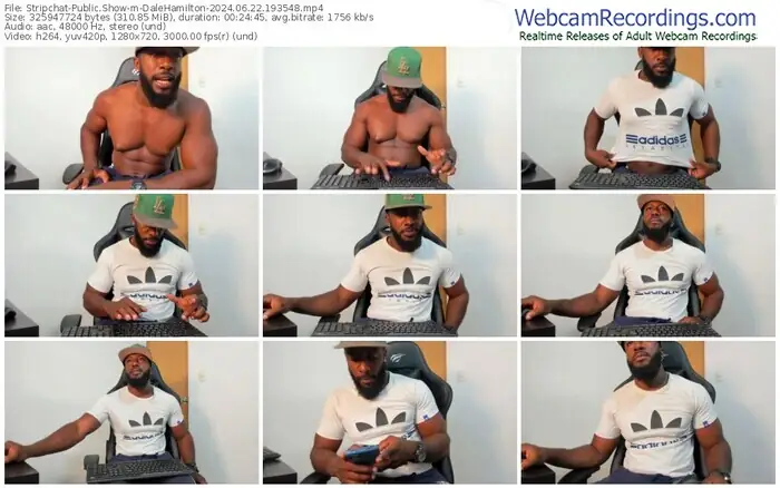 stripchat-dalehamilton-06-22-2024-19-35-48