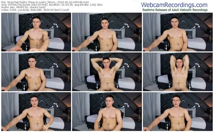 stripchat-justin_falcon_-06-22-2024-04-55-48