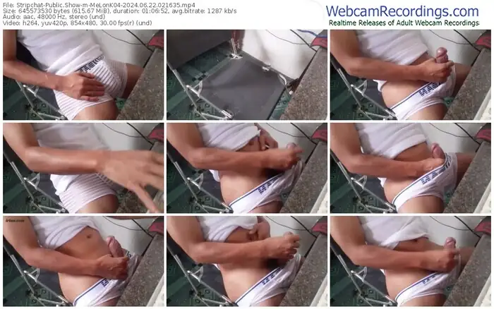 stripchat-melonk04-06-22-2024-02-16-35