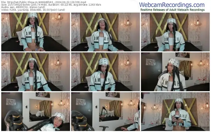 stripchat-wanhedas_-06-22-2024-10-13-30