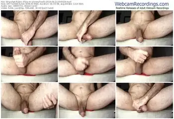 stripchat-silverwhisels-06-22-2024-09-44-26