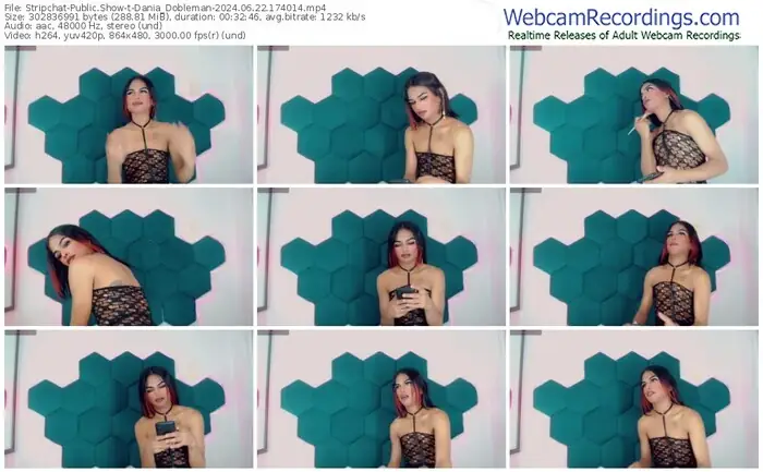 stripchat-dania_dobleman-06-22-2024-17-40-14