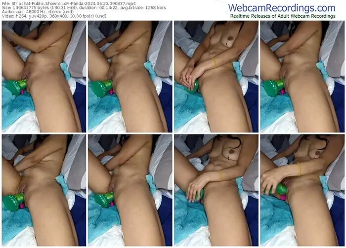 stripchat-lofi-panda-06-23-2024-09-03-37