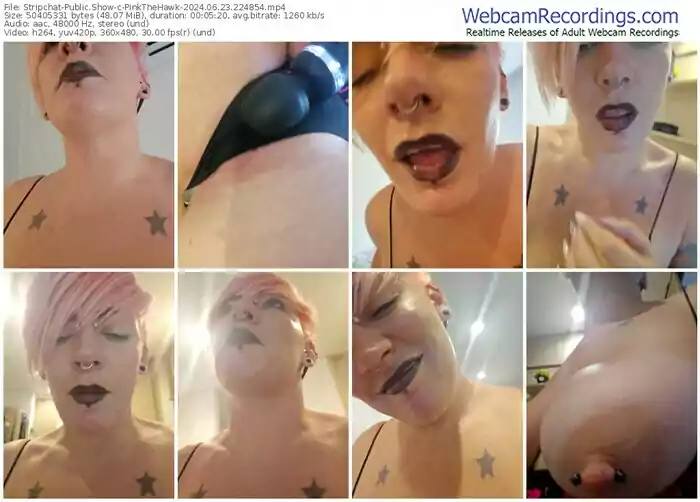 stripchat-pinkthehawk-06-23-2024-22-48-54