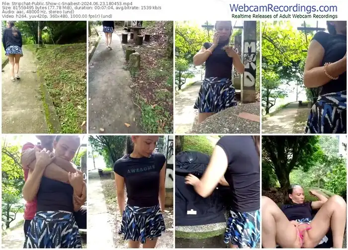 stripchat-snaibest-06-23-2024-18-04-53