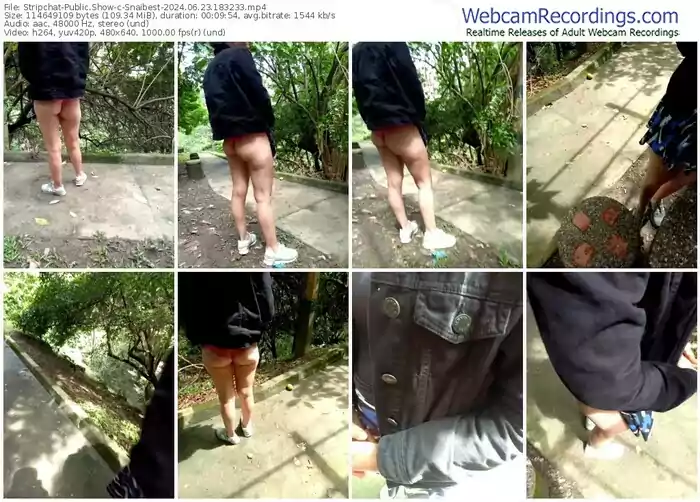 stripchat-snaibest-06-23-2024-18-32-33