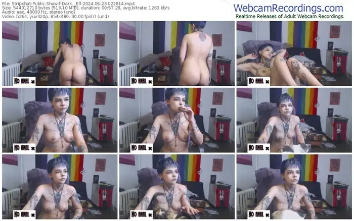 stripchat-dark__elf-06-23-2024-02-28-14