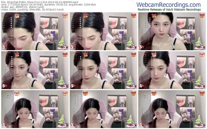 stripchat-uu-1314-06-23-2024-08-46-40