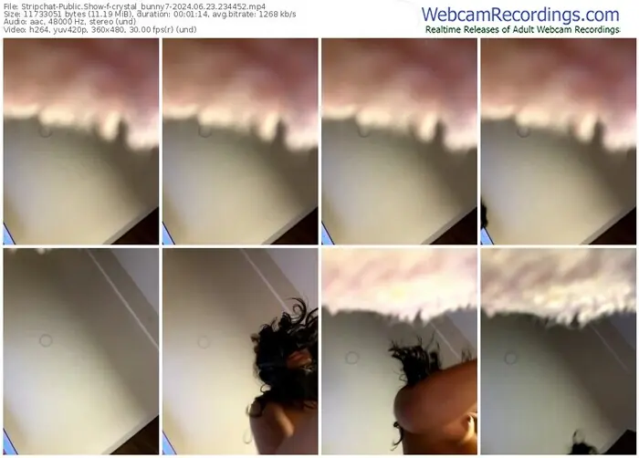 stripchat-crystal_bunny7-06-23-2024-23-44-52