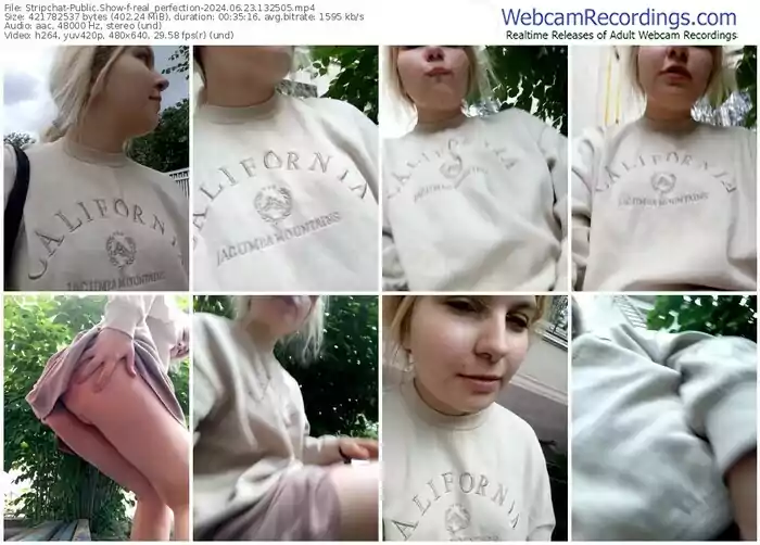 stripchat-real_perfection-06-23-2024-13-25-05