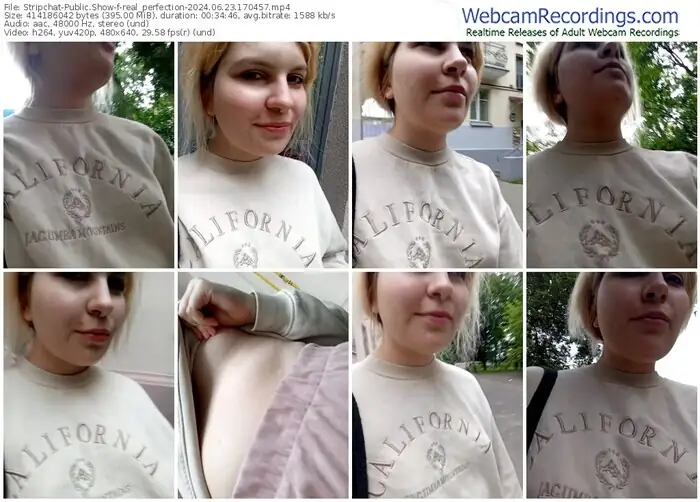 stripchat-real_perfection-06-23-2024-17-04-57
