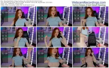 stripchat-willow_fox-06-23-2024-19-21-03