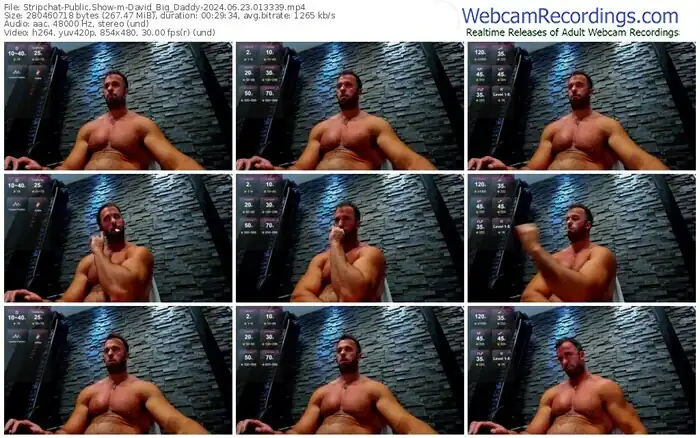 stripchat-david_big_daddy-06-23-2024-01-33-39