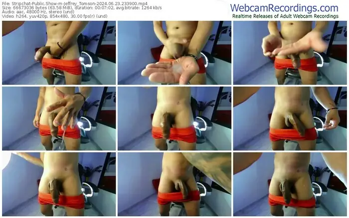 stripchat-jeffrey_tomson-06-23-2024-23-39-00