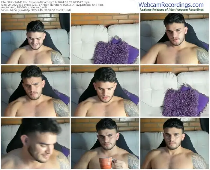 stripchat-ricardogo19-06-23-2024-02-35-17