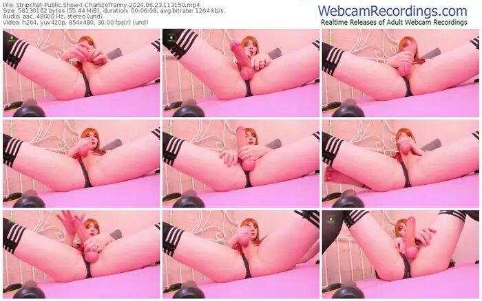 stripchat-charlizetranny-06-23-2024-11-31-50
