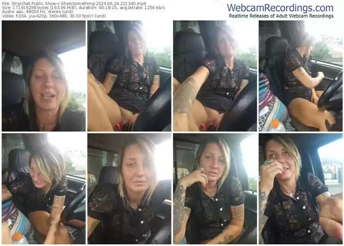 stripchat-sheissomething-06-24-2024-22-13-40