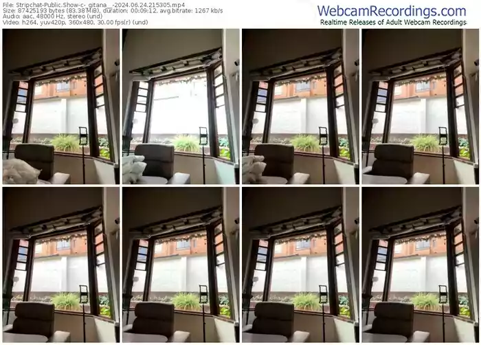 stripchat-_gitana__-06-24-2024-21-53-05