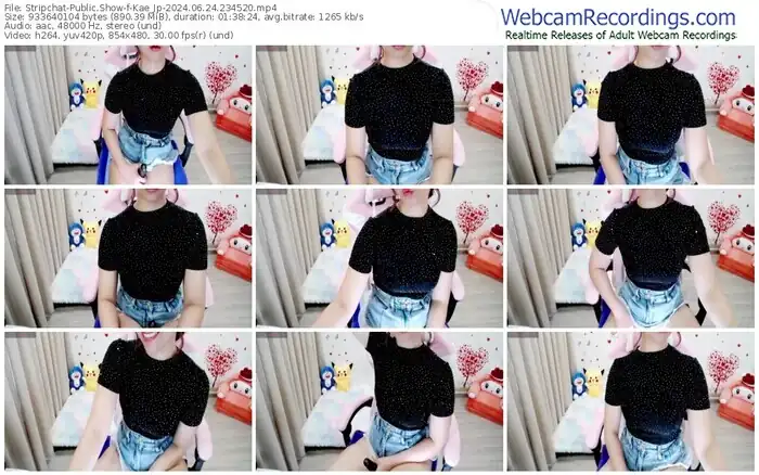 stripchat-kae_jp-06-24-2024-23-45-20