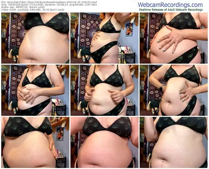 stripchat-kinkymidwestmeadows-06-24-2024-23-42-37