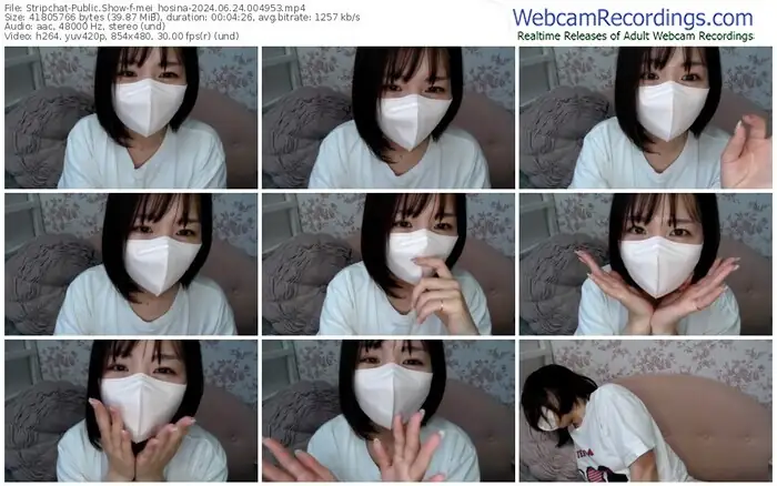 stripchat-mei_hosina-06-24-2024-00-49-53