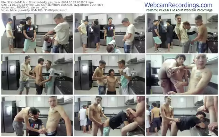 stripchat-badguyss_bisex-06-24-2024-00-29-03