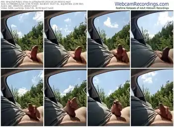 stripchat-schlecker66-06-24-2024-09-31-52