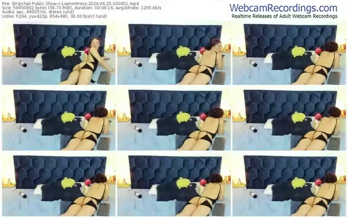 stripchat-liammmoss-06-25-2024-03-00-51