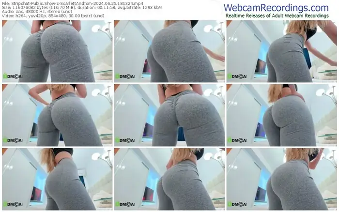 stripchat-scarlettandtom-06-25-2024-18-13-24