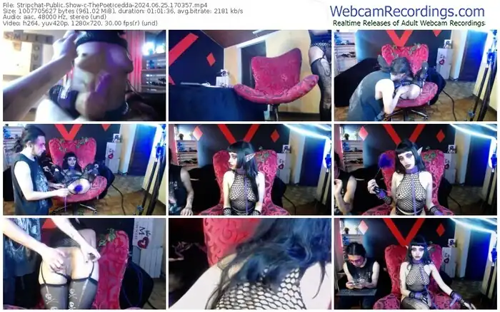 stripchat-thepoeticedda-06-25-2024-17-03-57