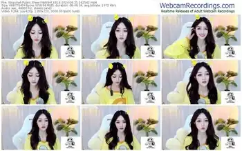 stripchat-baishi_kele-06-25-2024-16-25-42