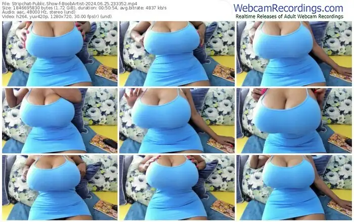 stripchat-boobartist-06-25-2024-23-33-52