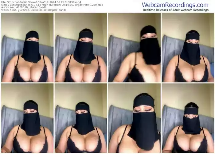 stripchat-dina012-06-25-2024-01-31-38