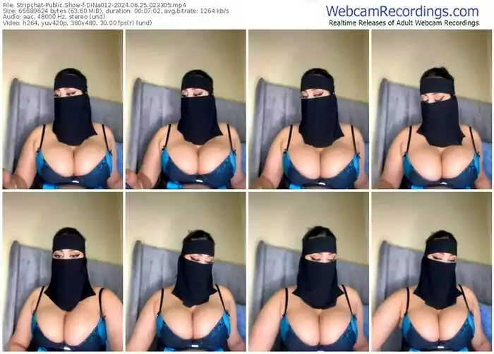 stripchat-dina012-06-25-2024-02-33-05