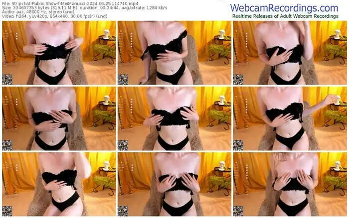 stripchat-meimanucci-06-25-2024-11-47-10