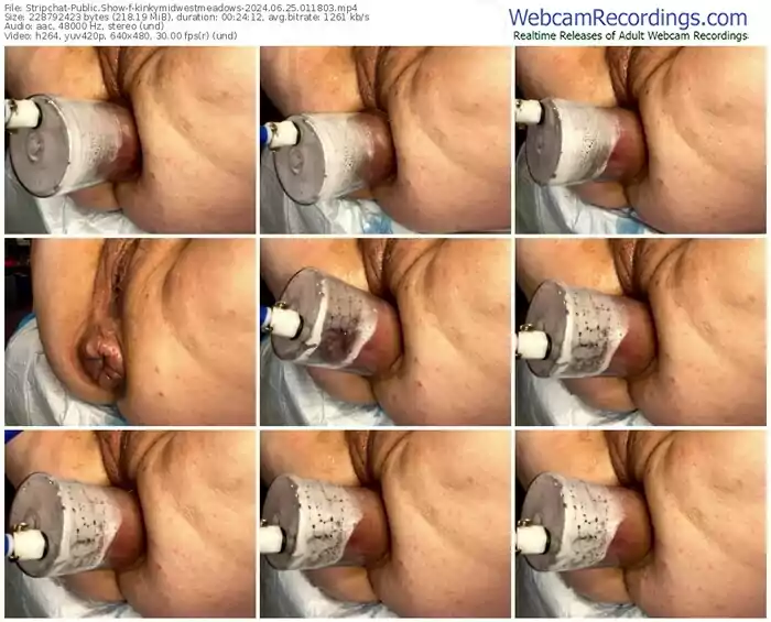 stripchat-kinkymidwestmeadows-06-25-2024-01-18-03