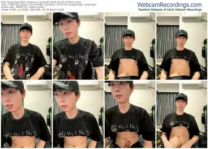 stripchat-1a1a1alll-06-25-2024-14-36-21