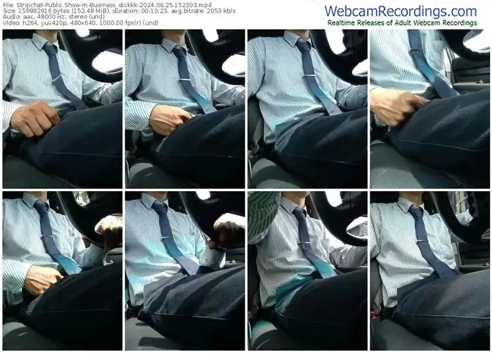 stripchat-business_dickkk-06-25-2024-15-23-03