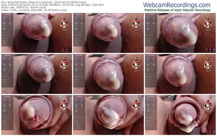 stripchat-lionking1_-06-25-2024-18-45-52