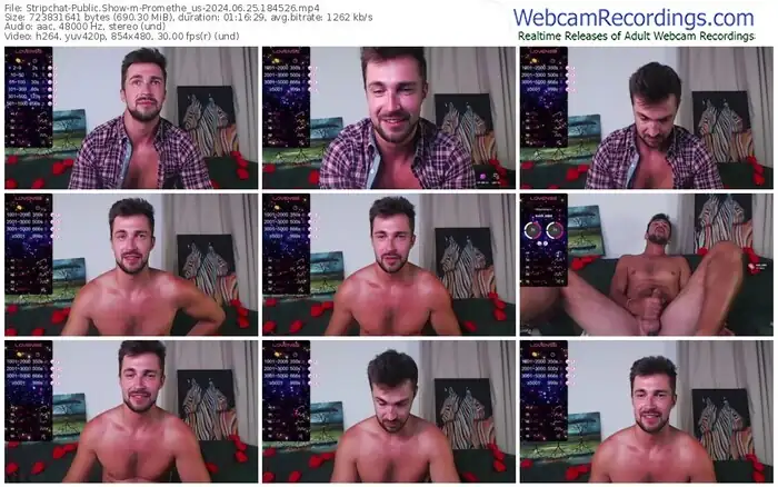 stripchat-promethe_us-06-25-2024-18-45-26