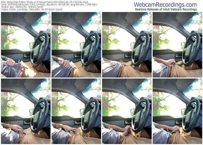 stripchat-themechanic420-06-25-2024-15-20-32