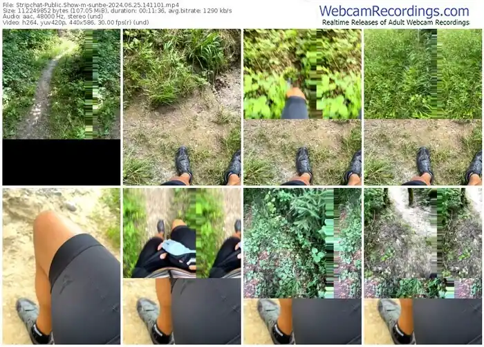 stripchat-sunbe-06-25-2024-14-11-01