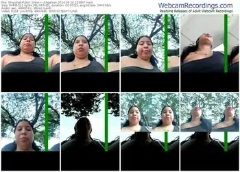 stripchat--angeless-06-26-2024-22-38-47