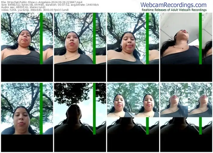 stripchat--angeless-06-26-2024-22-38-47