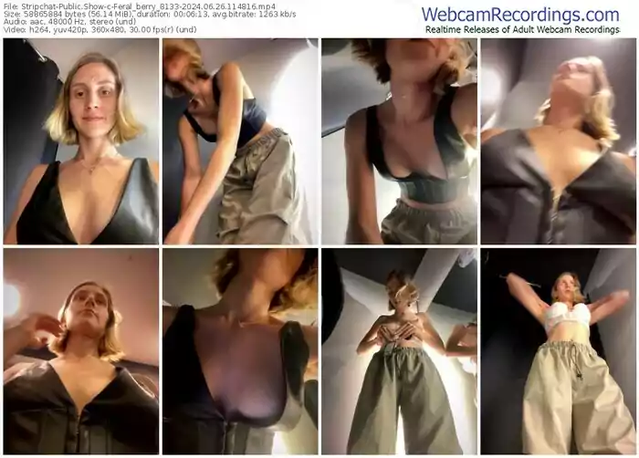 stripchat-feral_berry_8133-06-26-2024-11-48-16